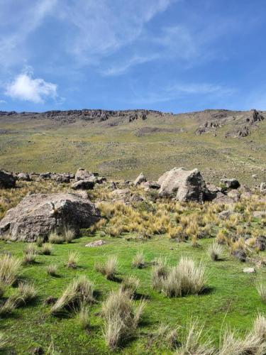 The first real Bed & Breakfast Hiking Hotel 'The Office' in Arequipa, Peru