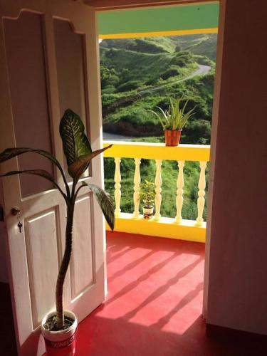 Kasa di Terra in รุยวาซ