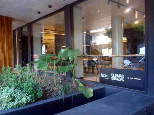 Dzain 1 - PISCINA -Gym- Cochera - Parrilla- Playromm- cercania Garrahan, favaloro, Britanico in Parque Patricios