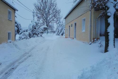 Ferienwohnung in Mittelsaida