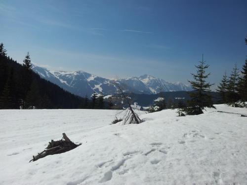 Appartement Hubertus in 黑塔烏