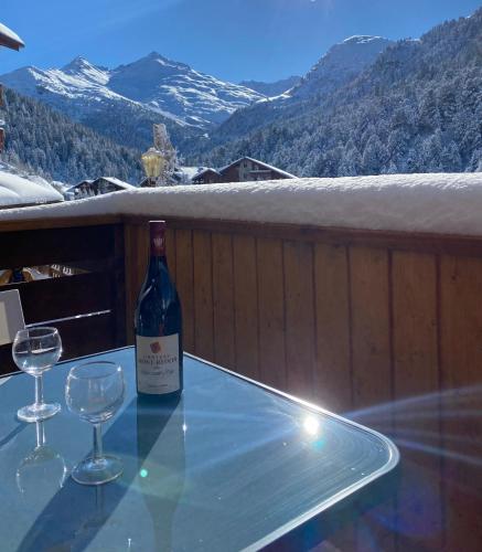 Chalet Olympie, Appartement avec balcon et vue montagne, ski aux pieds, Méribel-Mottaret