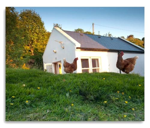 Cosy self contained cottage with stunning views