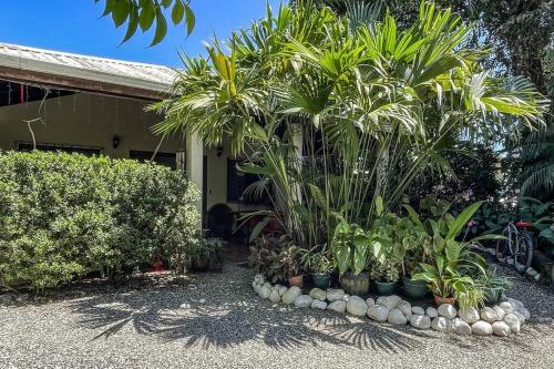 Casa Oasis in the center of Puerto Jimenez