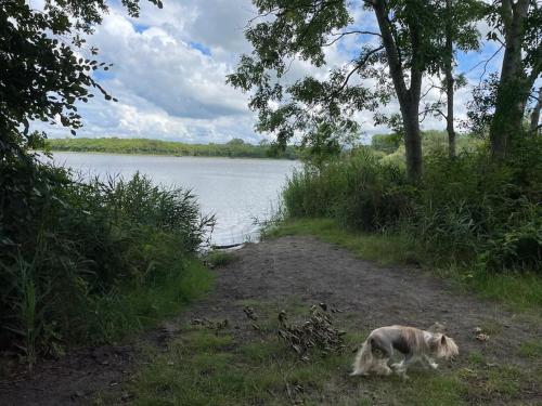 Het Tinkerparadijs, paarden, rust en ruimte.