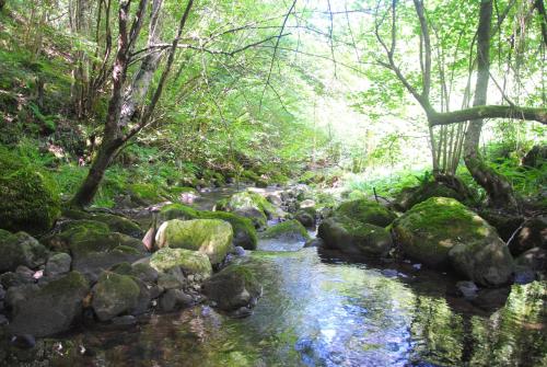 西塞罗埃尔莫利诺酒店