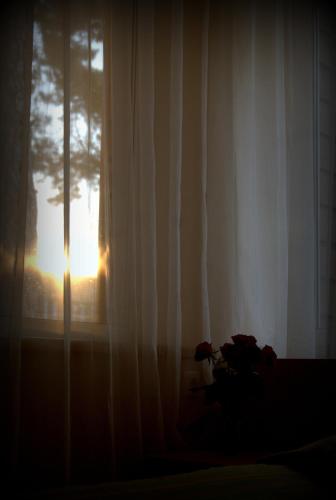 GALIA Hotel, Druskininkai (foto 8)