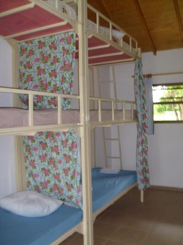 Bunk Bed in Mixed Dormitory Room (12 Adults)