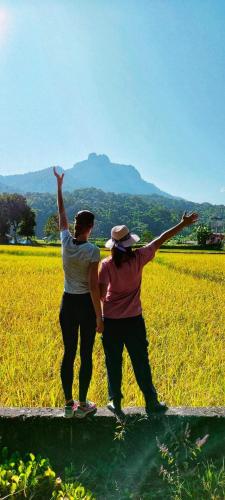 南邦 Pimpisa Garden พิมพิศา การ์เด้นท์ 3星级 民宿 设施