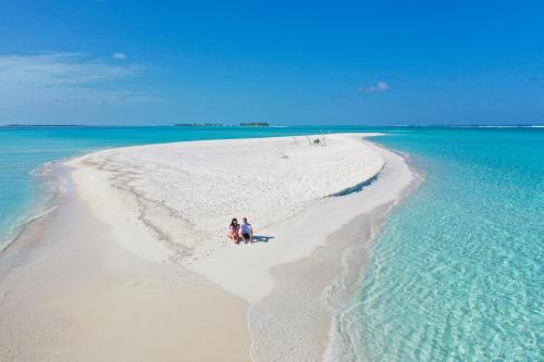 Blue Wave Hotel Maldives for SURF, FISHING and Beach