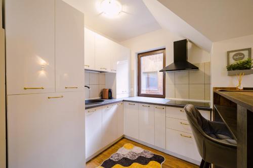 keuken, Forest Nest with mountain view in Poiana Tapului