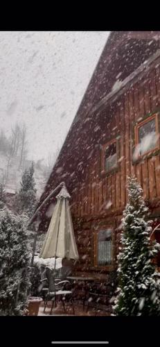 Chata Lišiačik (Chata Lisiacik) in Tajov