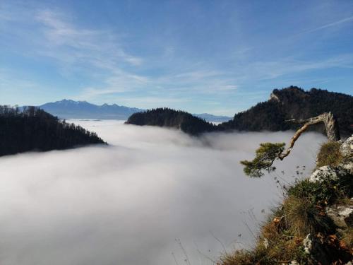 Domek nad potokiem Domek nad potokiem
