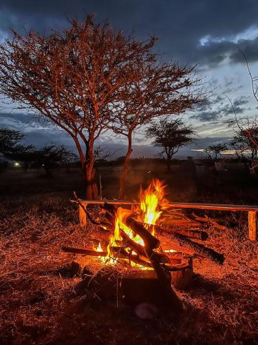 Amboseli Cultural Camping in 安博塞利