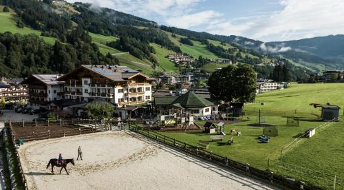 Bauernhof Hotel Oberschwarzach - image 8