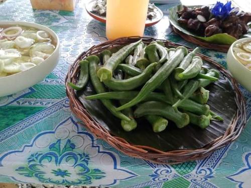 Jolits Ecogarden Integrated Farm in Batuan