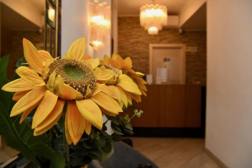 Hotel Anacapri – Rome