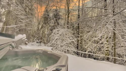 Zigzag Mountain Lodge - Meredith Lodging