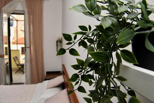 Hotel Anacapri – Rome