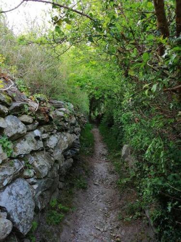 Lovely Stone Village cottage in Snowdonia