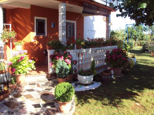  Apartment Gogo, Pension in Umag