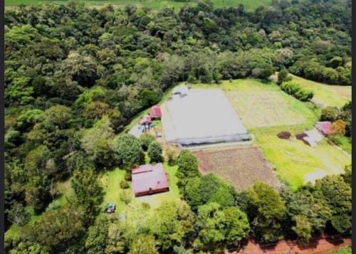 Finca Arabela