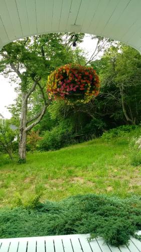 Oceanfront Garden Cottage - private cove beach