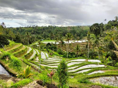 Magical Breeze Cabin Bali