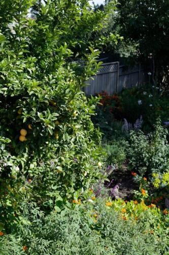 Beautiful, Historic Family Home near Lake Merritt