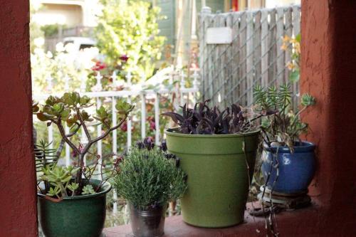 Beautiful, Historic Family Home near Lake Merritt