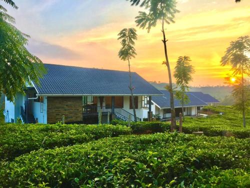 PEKOE Plantation Cottages by LexStays - Kappipathal