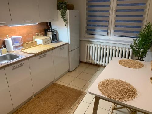 ห้องครัว, Apartament Joanna 2 parter blisko Prezero, dworca in กลิวิซ