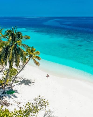 Blue Wave Guesthouse Maldives - Book FB a week gets a free excursion