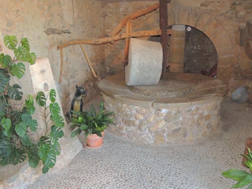 Son Corco - image 10