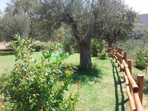 La Giuiaia - Agriturismo Azienda Agricola - image 6