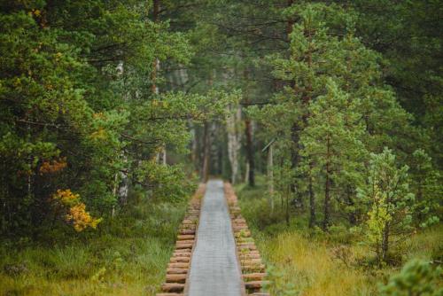 Self Check-in Sauna Cabin next to Hiking Trails