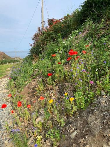 Mary’s Seaview Clifden