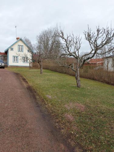 Mariannelund cottage