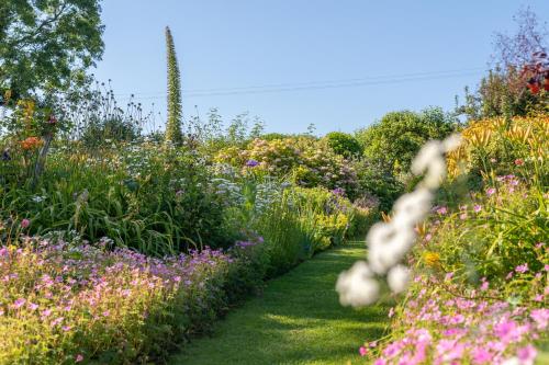 Putsborough Manor 3 Self Catering Cottages with Beach a short walk dog friendly all year, On site Tennis, Play Area, Paddock, Spa baths, BBQ, Private Gardens, Superfast WIFI