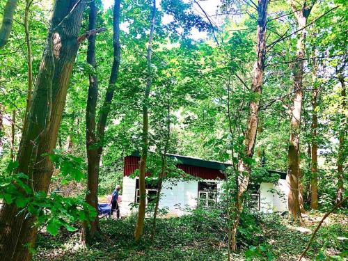  Boshuis en Landhoeve vakantiehuis in Beesel