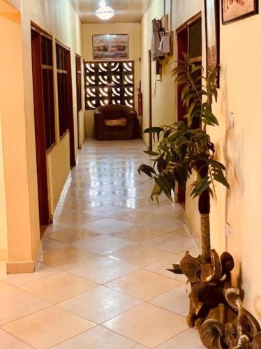 Kangaroo Pouch Beach Resort in Dixcove