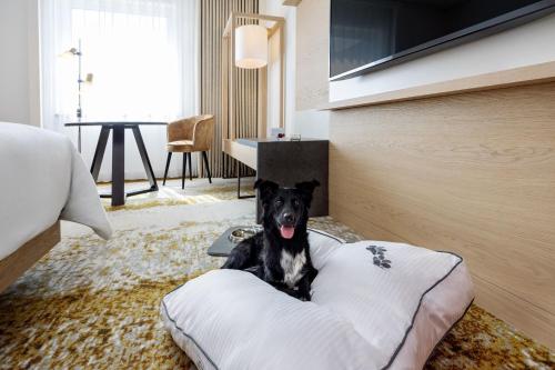 The Westin Grand Frankfurt - image 3