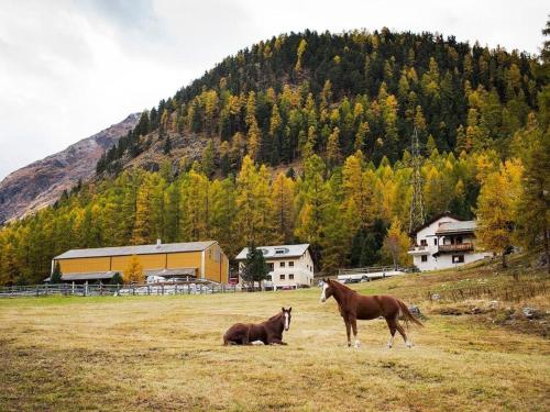 Chesa Formel - STALLA ENGIADINA Pontresina