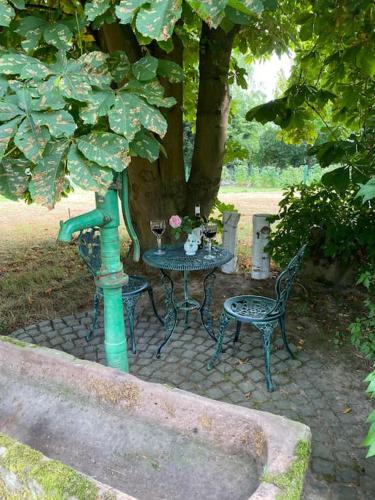 Apartment mit romantischem Garten an der Märchenstraße! (Apartment mit romantischem Garten an der Marchenstraße!) in Reinhardshagen