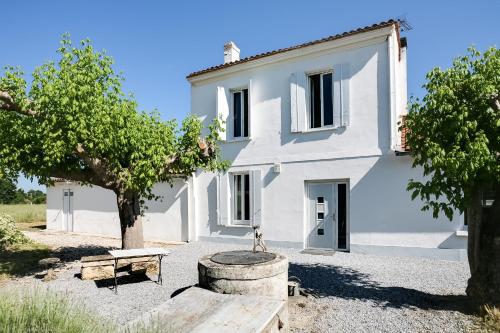 Au Coeur du Vignoble - Location saisonnière - Cadaujac