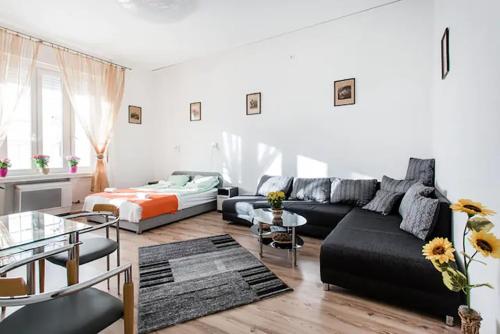  Budapest center lifestyle with free parking, Pension in Budapest