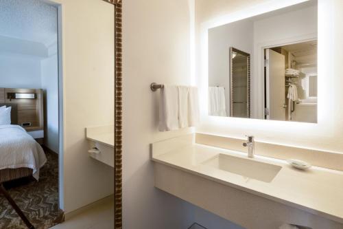 SpringHill Suites by Marriott Colorado Springs South - image 7