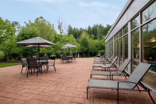 Fairfield by Marriott Inn & Suites Washington Casino Area - image 6