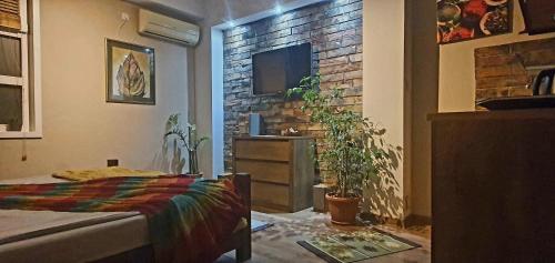 Natura Apartmant - main image