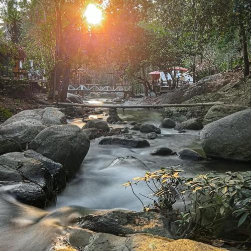 เดอะริเวอร์ แม่กําปอง The River Maekampong Chiang Mai